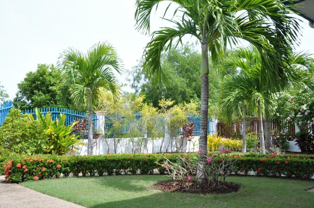 Olivia Resort Serviced Apartments And Bungalows Panglao Rum bild